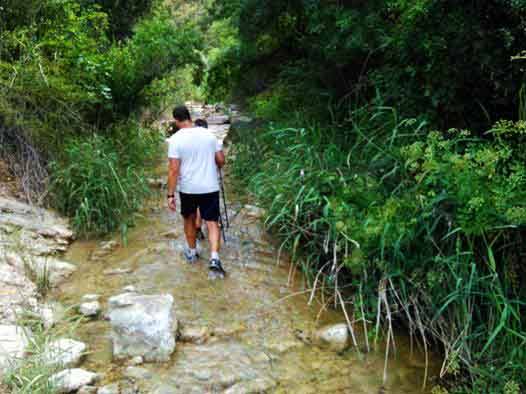 Excursión de fin de curso alumnos Colegio Público Rural Blas Infante.